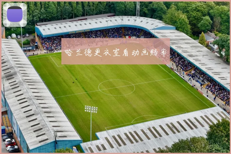 哈兰德更衣室看动画赔率