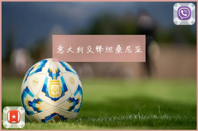 意大利交锋坦桑尼亚